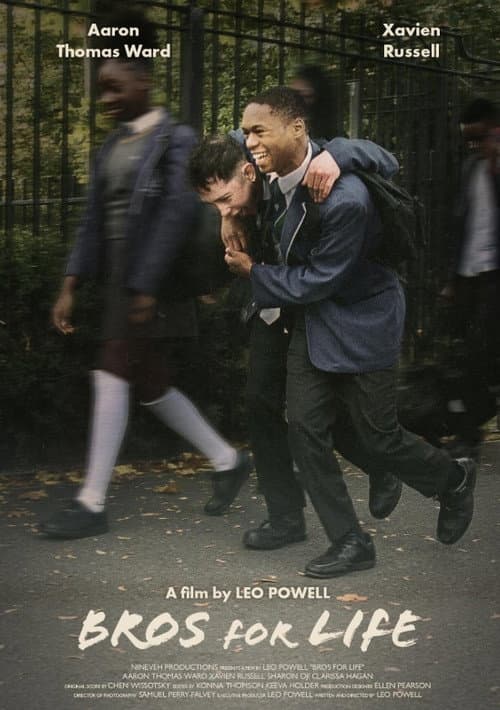 Poster for Bros for Life