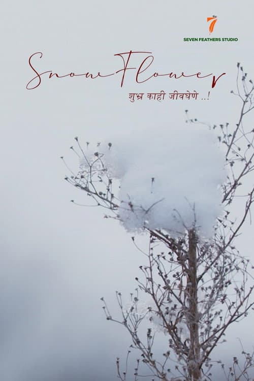 Poster for Snow Flower