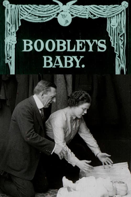 Poster for Boobley's Baby