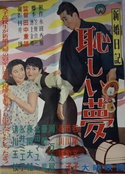 Poster for Newlywed Diary: An Embarrassing Dream
