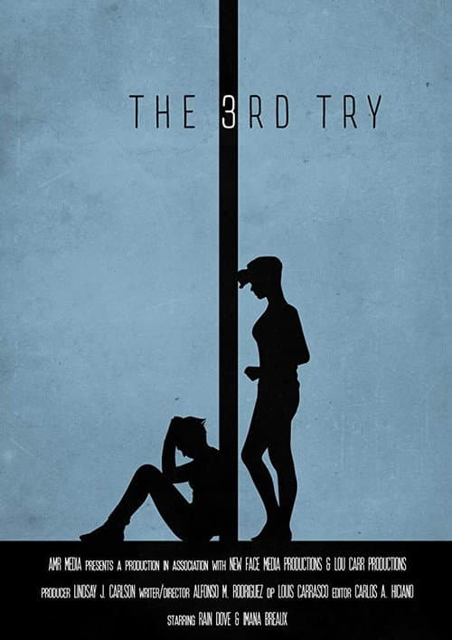 Poster for The 3rd Try