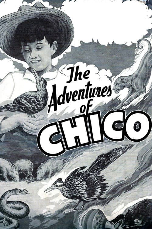 Poster for The Adventures of Chico
