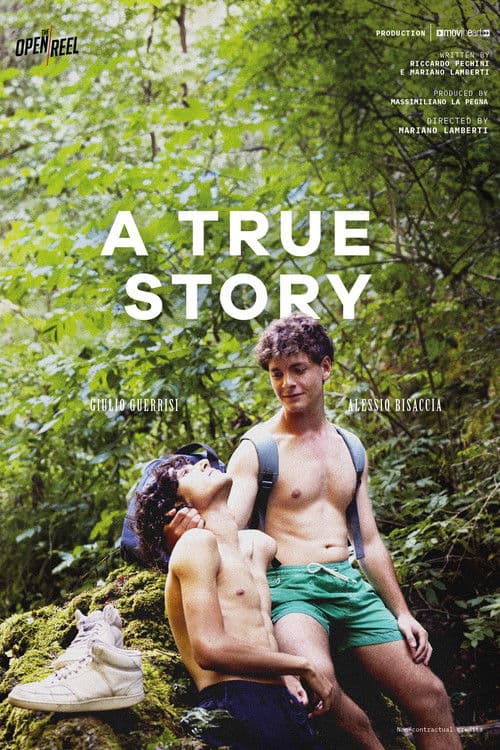 Poster for A True Story
