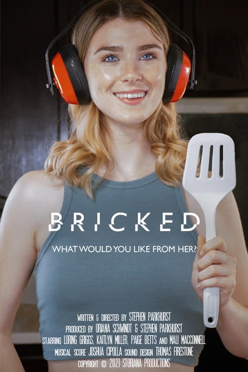 Poster for Bricked