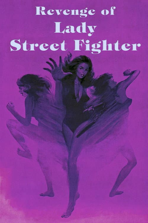 Poster for Revenge of Lady Street Fighter