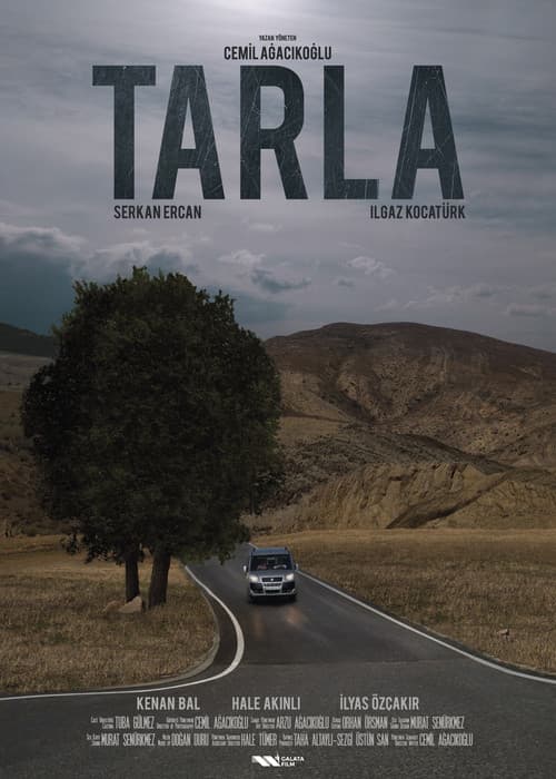 Poster for The Field