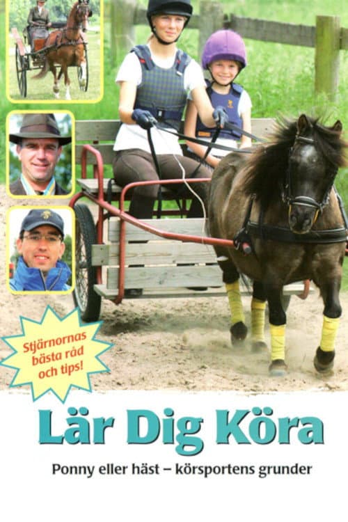 Poster for Lär dig köra