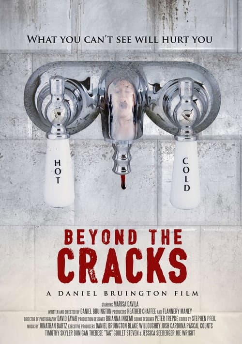 Poster for Beyond the Cracks