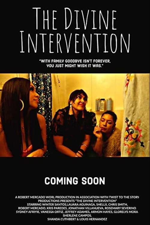 Poster for The Divine Intervention