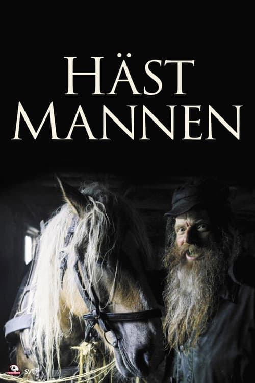 Poster for The Horseman
