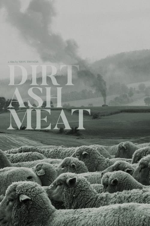 Poster for Dirt Ash Meat