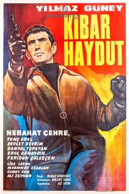 Poster for Kibar Haydut