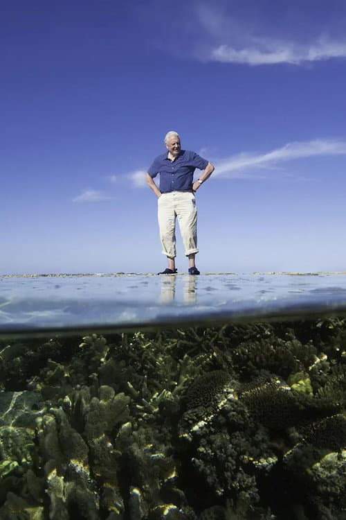 Poster for Reef Diaries