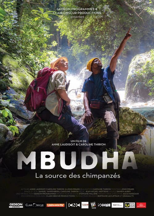Poster for Mbudha, in the Chimpanzees' Footsteps