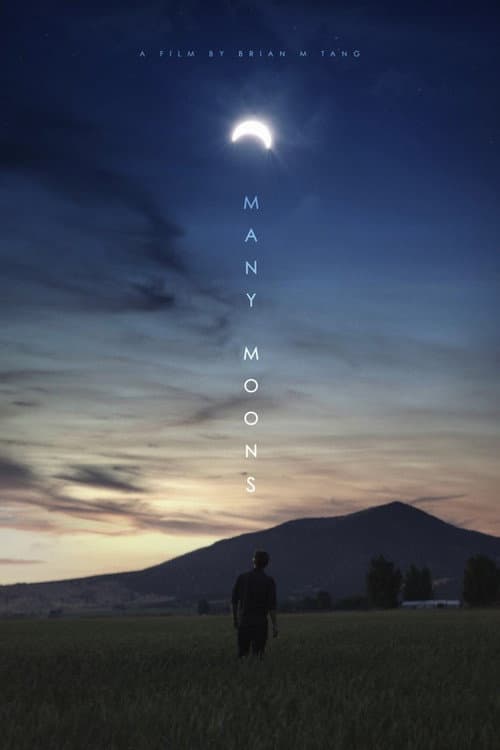 Poster for Many Moons