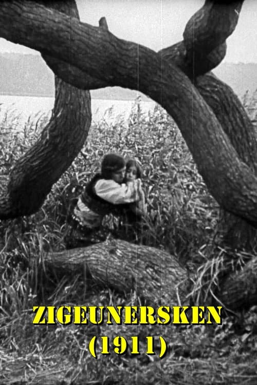 Постер до фільму «The Love of a Gypsy Girl»
