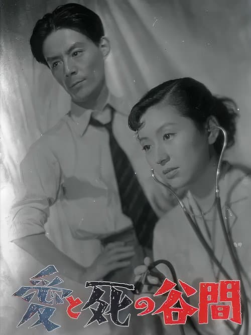 Poster for The Valley Between Love and Death