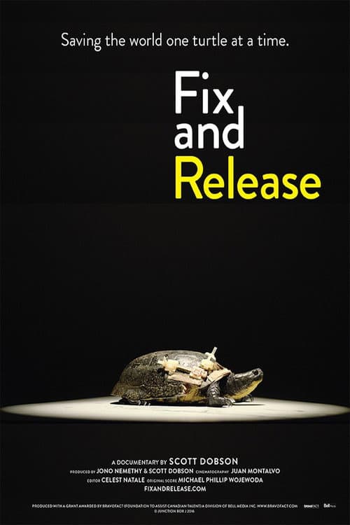 Poster for Fix and Release