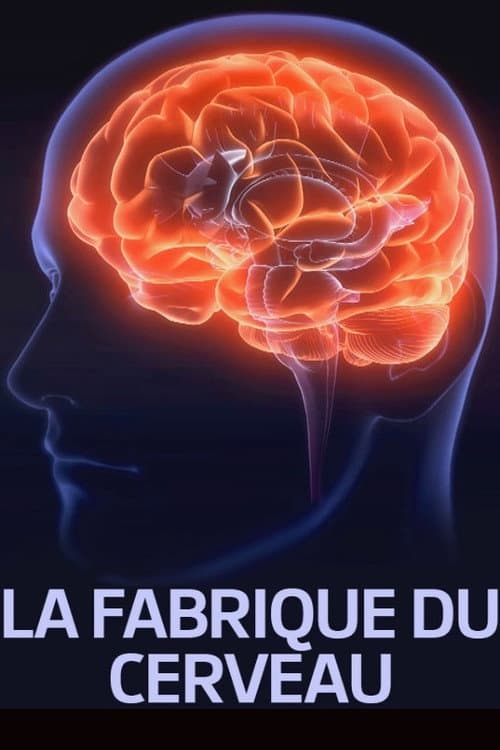 Poster for La fabrique du cerveau