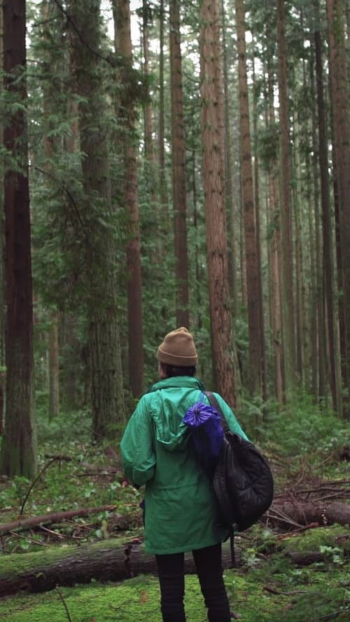 Poster for Forest Movie