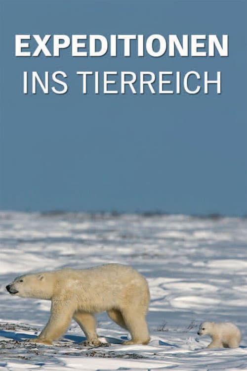 Poster for Expeditionen ins Tierreich