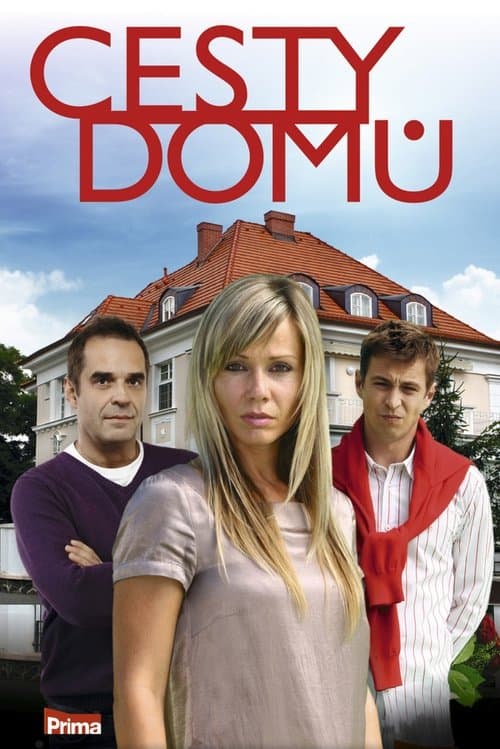 Poster for Cesty domů