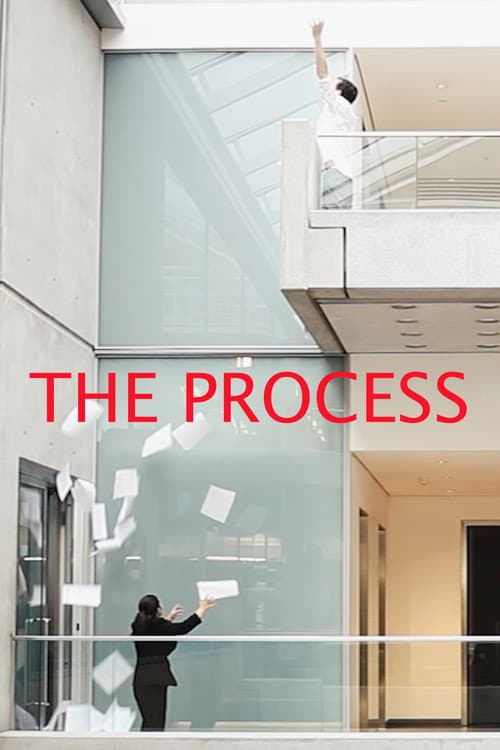 Poster for The Process