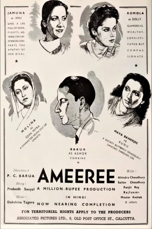 Poster for Ameeree