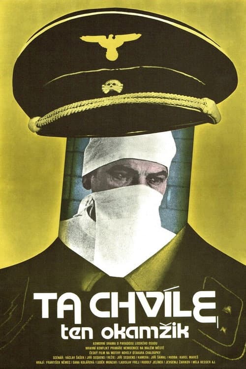 Poster for That Instant, That While