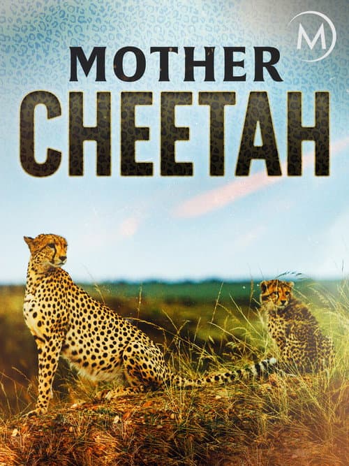 Poster for Cheetah Mom