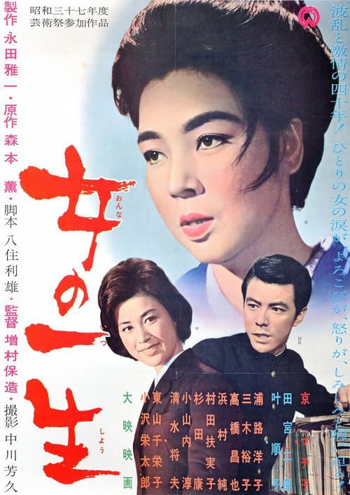 Poster for A Woman's Life