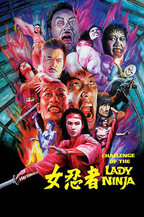 Poster for The Challenge of the Lady Ninja