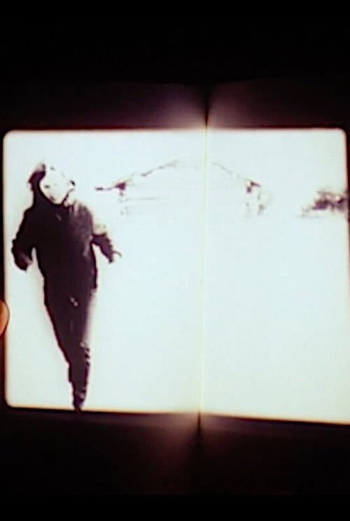 Poster for We Had the Experience but Missed the Meaning