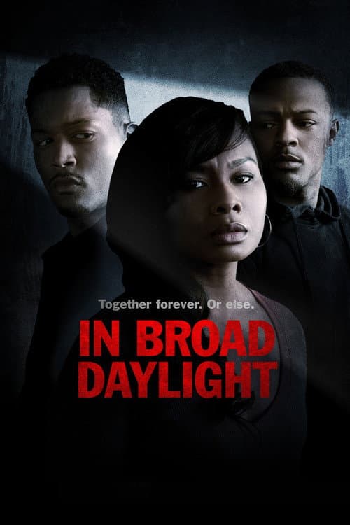 Poster for In Broad Daylight