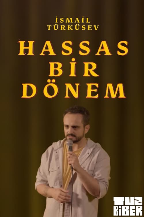Poster for Hassas Bir Dönem - İsmail Türküsev