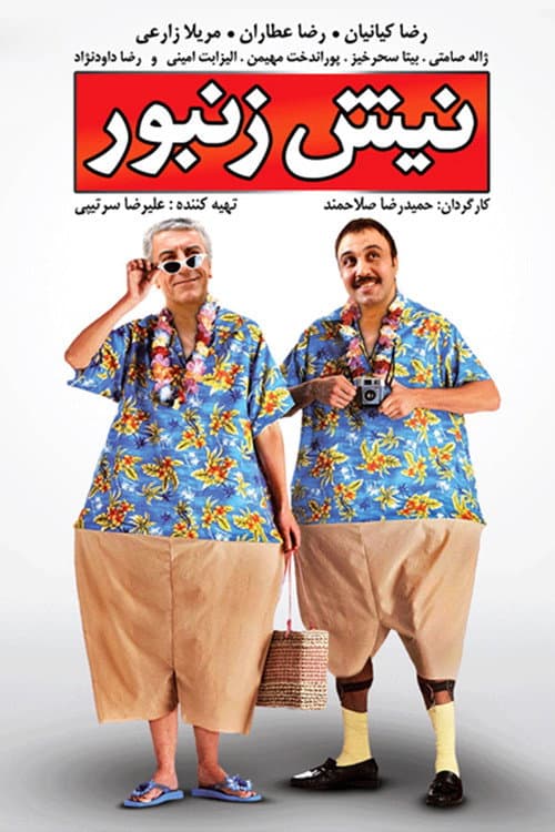 Poster for Nish Zanbor