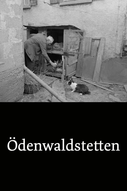 Постер до фільму «Ödenwaldstetten»