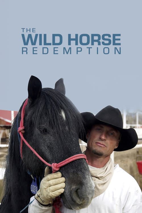 Poster for The Wild Horse Redemption