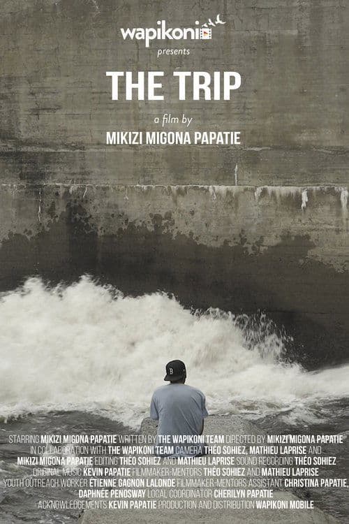 Poster for The Trip