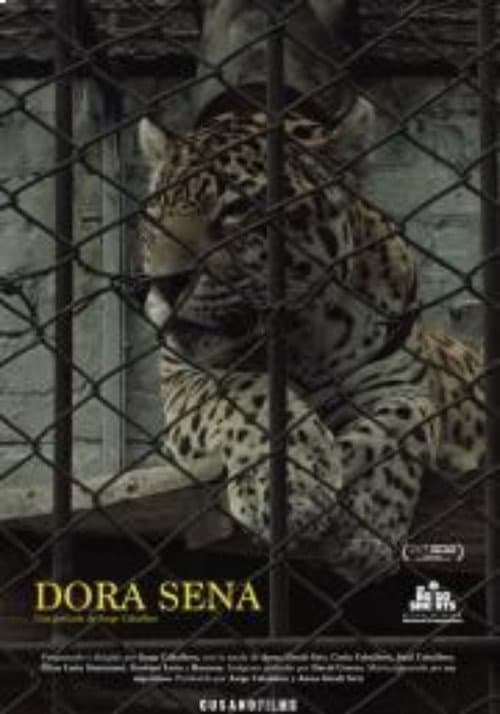 Poster for Dora Sena