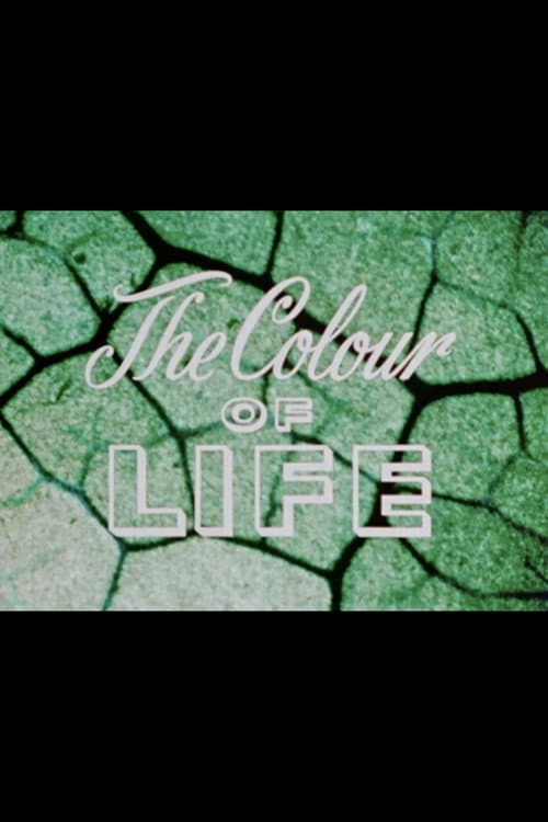 Poster for The Colour of Life