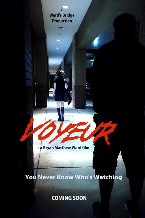Poster for Voyeur