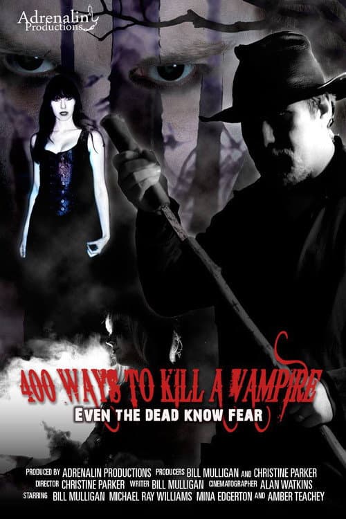 Poster for 400 Ways to Kill a Vampire