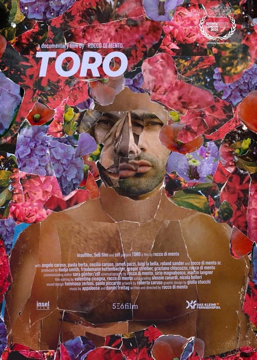 Poster for Toro