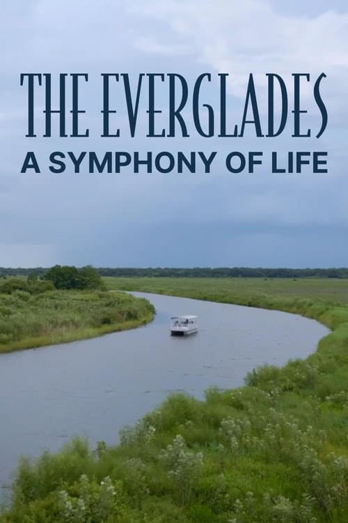 Poster for The Everglades: A Symphony of Life