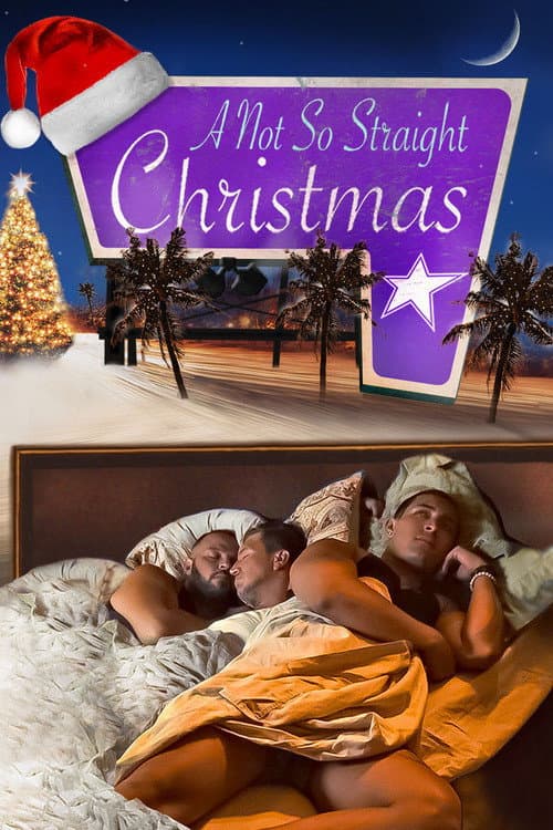Poster for A Not So Straight Christmas