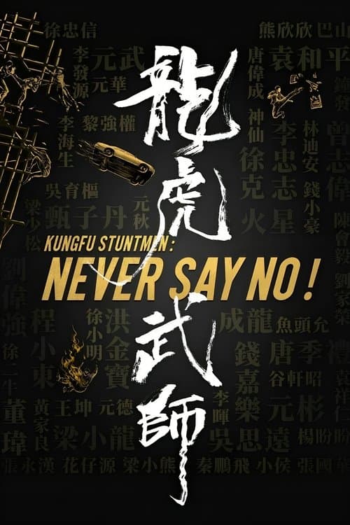 Постер до фільму «Kung Fu Stuntmen»