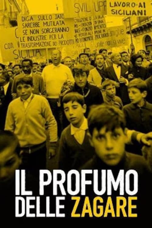 Poster for Il profumo delle zagare