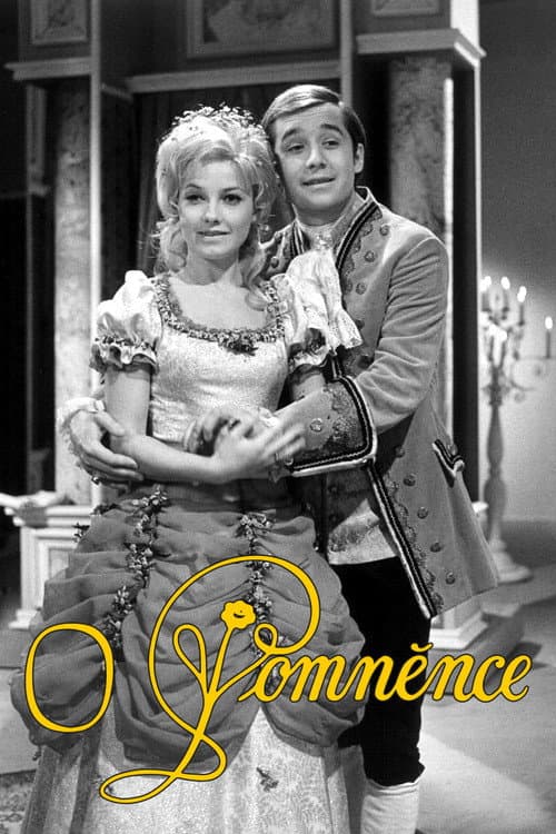 Poster for O Pomněnce
