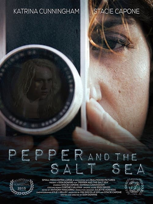 Poster for Pepper and the Salt Sea